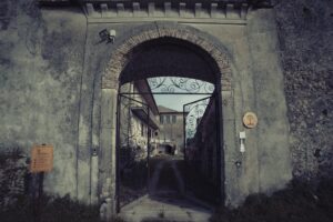 32087177_2116292105318399_2304157921744781312_n