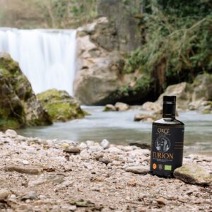 430640550_950790397051002_7752539170595916674_n