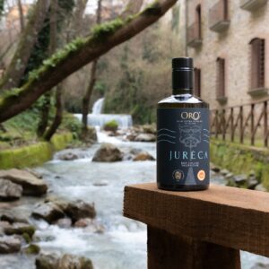 434380858_958061236323918_1524915611270614311_n