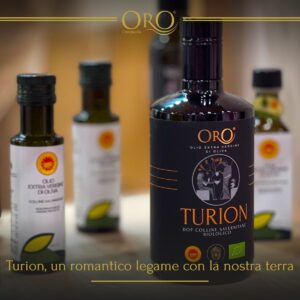 441497515_1000795122050529_9116147456013545914_n