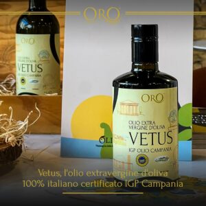 445181482_1004261211703920_3556693278077877066_n